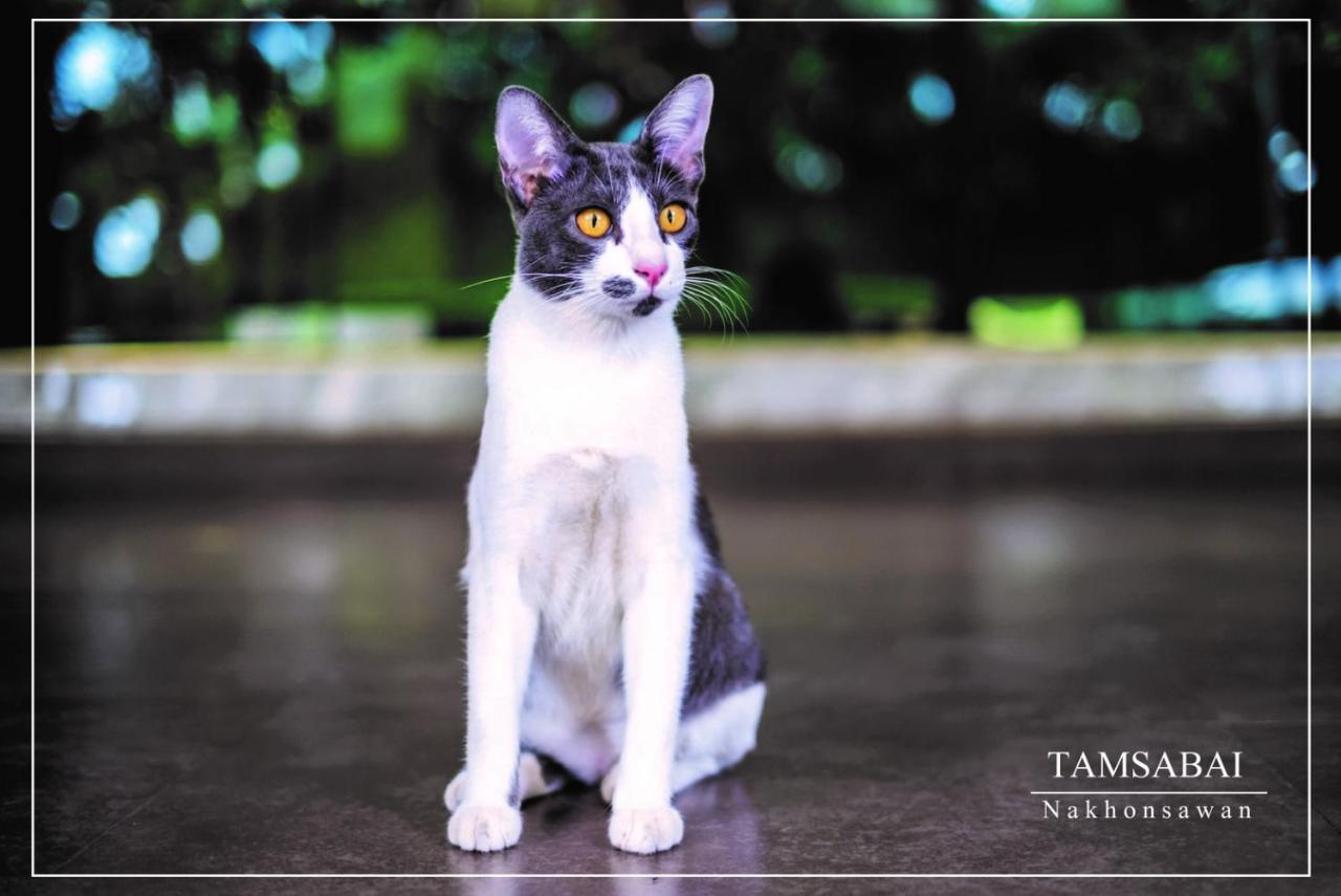 タンサバイ ホテル ナコンサワン エクステリア 写真